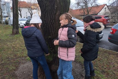 hledáme složky přírody