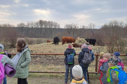 vycházka do Milíčovského lesa a minizoo