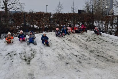 Lednové zimní radovánky