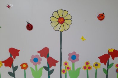 Lilie, Motýle, Pavouci, Broučci