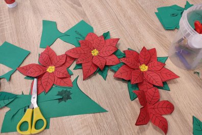 Vánoční hvězda aneb Poinsettie