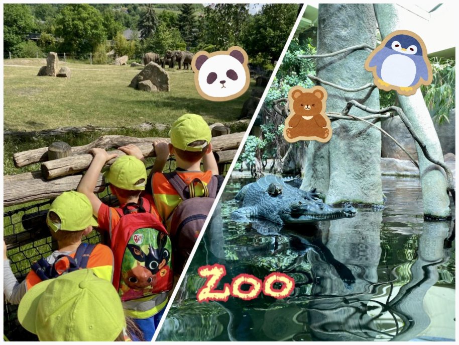 Výlet do ZOO