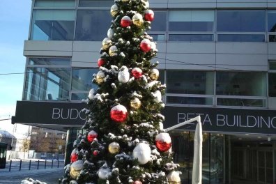 Vánoční rozsvícení stromku na Brumlovce