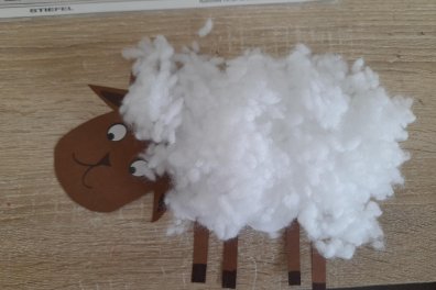 Ovečka kudrnatá