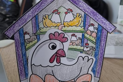Slepička a kuřátka