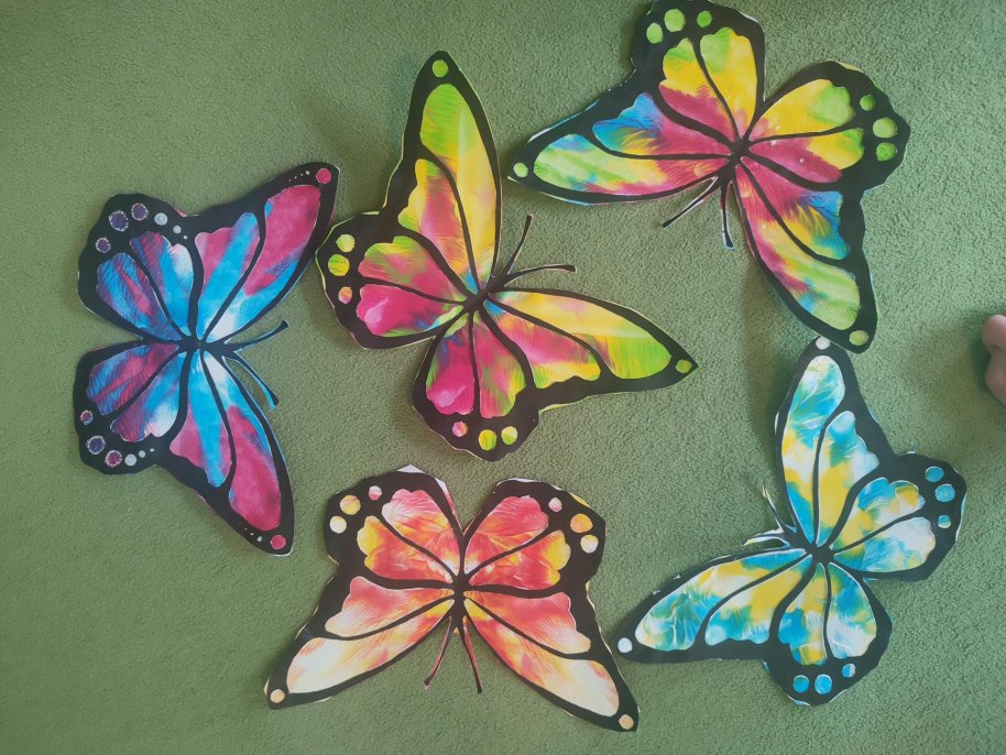 Nejkrásnější motýli světa