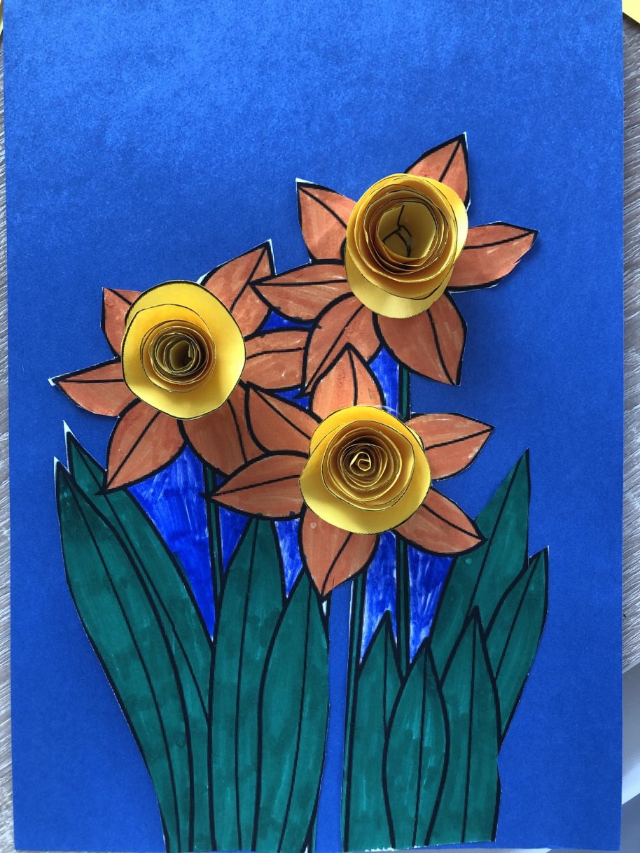 Narcisy