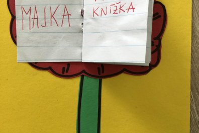 Mini knížka