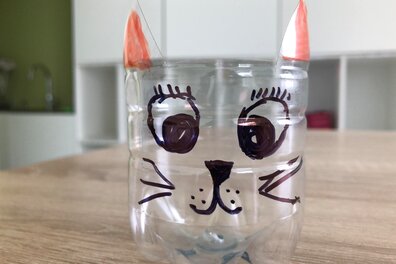 Kočky z  plastových láhví