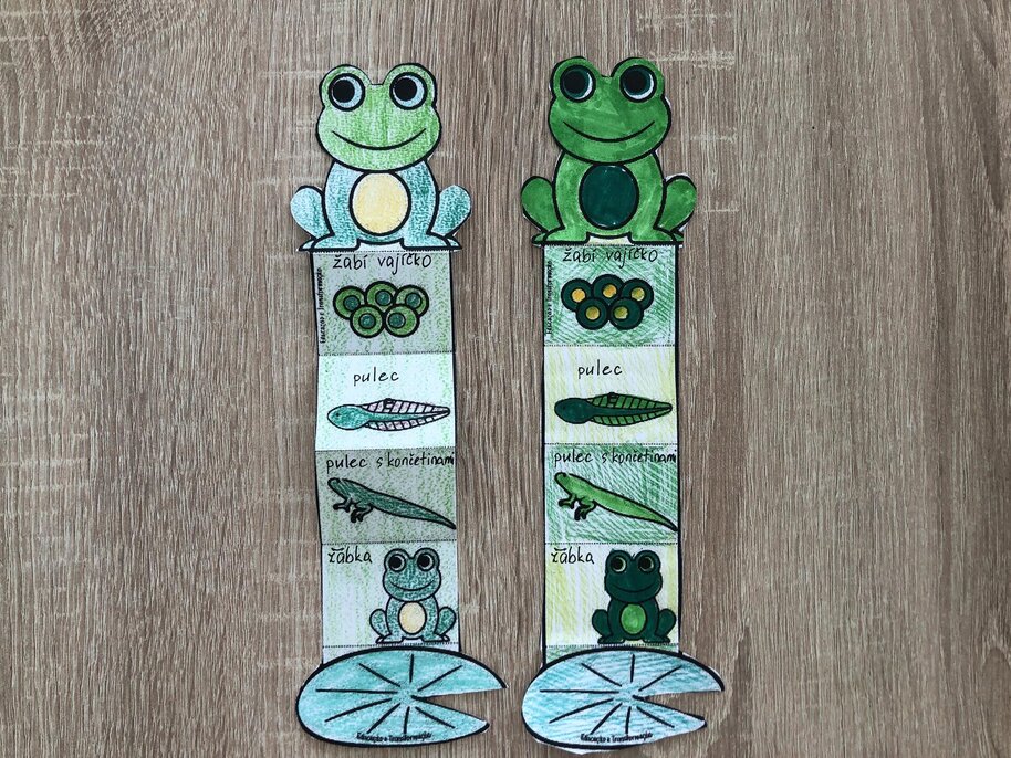 Jak se narodí žába